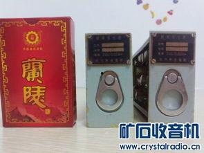 国产精品入,匠心独运，引领时代潮流的青春成长记